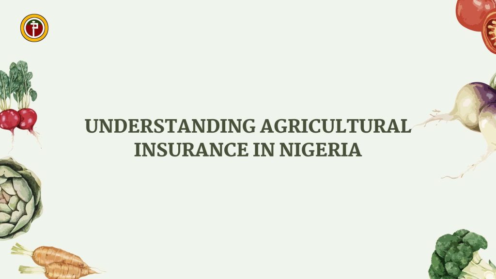 Understanding Agricultural Insurance in Nigeria-compressed