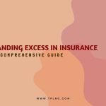 Understanding Excess in Insurance A Comprehensive Guide