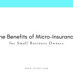 The Benefits of Micro-Insurance for Small Business Owners